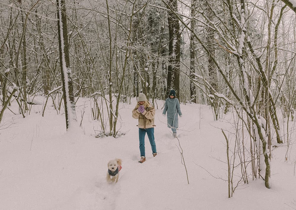 Winter Depression Is Real: How to Treat Seasonal Affective Disorder