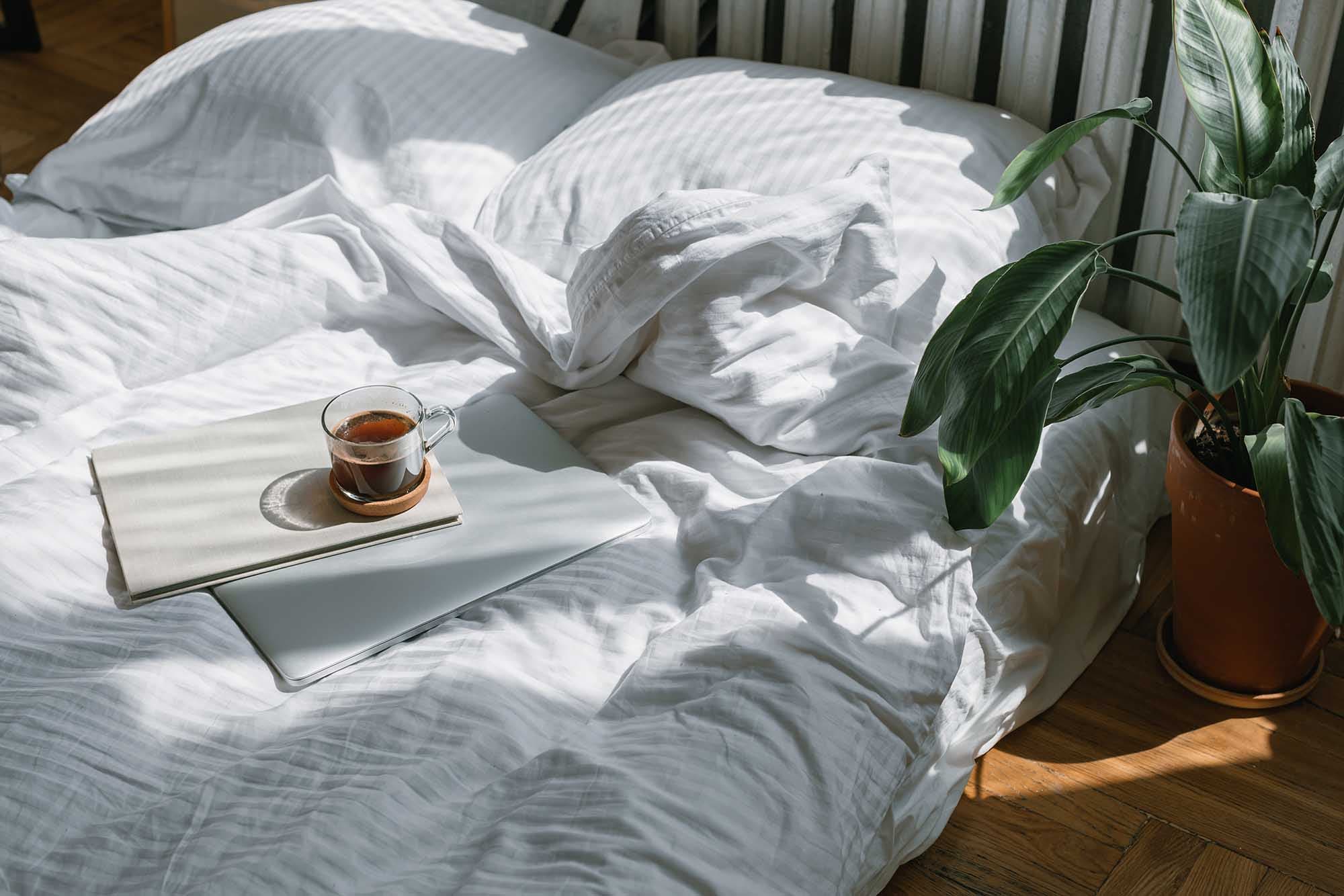 5 Science-Backed Ways to Optimize Your Circadian Rhythm for Better Sleep